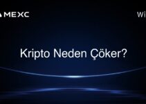 Kripto Neden Çöker?