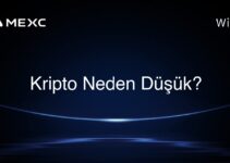 Kripto Neden Düşük?