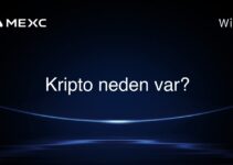 Kripto neden var?