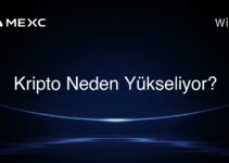 Kripto Neden Yükseliyor?