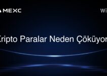 Kripto Paralar Neden Çöküyor?