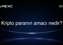 Kripto paranın amacı nedir?