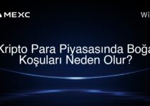 Kripto Para Piyasasında Boğa Koşuları Neden Olur?