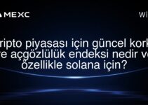 Kripto piyasası için güncel korku ve açgözlülük endeksi nedir ve özellikle solana için?