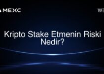 Kripto Stake Etmenin Riski Nedir?