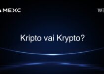 Kripto vai Krypto?
