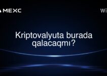Kriptovalyuta burada qalacaqmı?