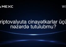 Kriptovalyuta cinayətkarlar üçün nəzərdə tutulubmu?