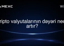 Kripto valyutalarının dəyəri necə artır?