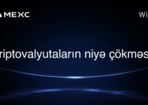 Kriptovalyutaların niyə çökməsi?