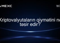 Kriptovalyutaların qiymətini nə təsir edir?