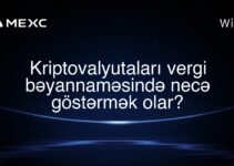 Kriptovalyutaları vergi bəyannaməsində necə göstərmək olar?