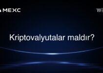 Kriptovalyutalar maldır?