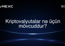 Kriptovalyutalar nə üçün mövcuddur?