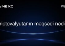 Kriptovalyutanın məqsədi nədir?