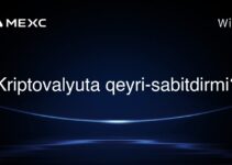 Kriptovalyuta qeyri-sabitdirmi?