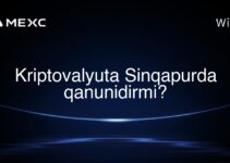 Kriptovalyuta Sinqapurda qanunidirmi?