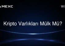 Kripto Varlıkları Mülk Mü?