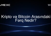 Kripto və Bitcoin Arasındaki Fərq Nedir?