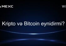Kripto və Bitcoin eynidirmi?