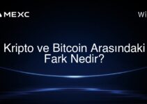 Kripto ve Bitcoin Arasındaki Fark Nedir?