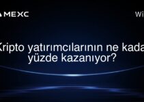 Kripto yatırımcılarının ne kadar yüzde kazanıyor?