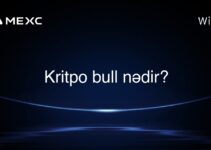 Kritpo bull nədir?
