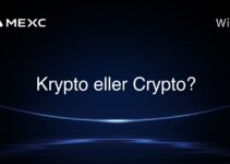 Krypto eller Crypto?