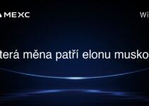 která měna patří elonu muskovi