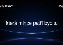 která mince patří bybitu