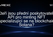 Kteří jsou přední poskytovatelé API pro minting NFT specializující se na blockchain Solana?