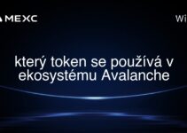 který token se používá v ekosystému Avalanche