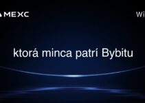 ktorá minca patrí Bybitu