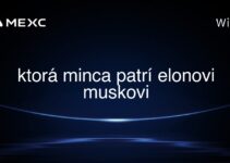 ktorá minca patrí elonovi muskovi