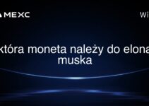która moneta należy do elona muska