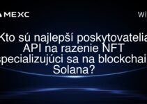 Kto sú najlepší poskytovatelia API na razenie NFT špecializujúci sa na blockchain Solana?