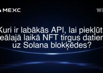 Kuri ir labākās API, lai piekļūtu reālajā laikā NFT tirgus datiem uz Solana blokķēdes?