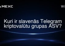 Kuri ir slavenās Telegram kriptovalūtu grupas ASV?