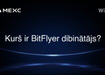 Kurš ir BitFlyer dibinātājs?