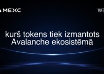 kurš tokens tiek izmantots Avalanche ekosistēmā