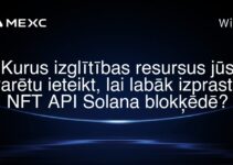 Kurus izglītības resursus jūs varētu ieteikt, lai labāk izprastu NFT API Solana blokķēdē?