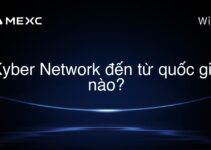 Kyber Network đến từ quốc gia nào?