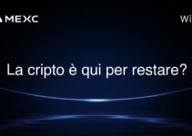 La cripto è qui per restare?