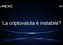La criptovaluta è instabile?