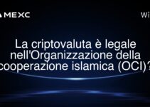 La criptovaluta è legale nell’Organizzazione della cooperazione islamica (OCI)?