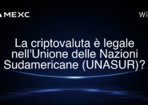 La criptovaluta è legale nell’Unione delle Nazioni Sudamericane (UNASUR)?