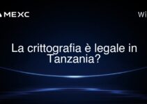 La crittografia è legale in Tanzania?