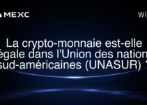 La crypto-monnaie est-elle légale dans l’Union des nations sud-américaines (UNASUR) ?