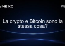 La crypto e Bitcoin sono la stessa cosa?