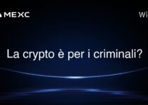 La crypto è per i criminali?